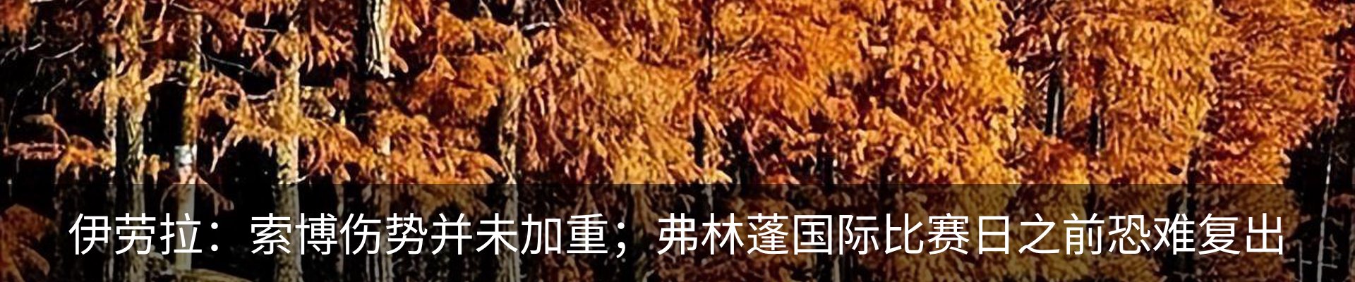 资讯动态